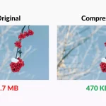 Understanding Image Compression: Why It's Important and How to Do It